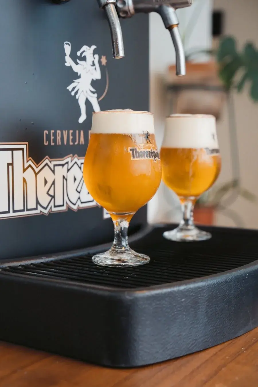 Dois copos de chopp na bandeja da chopeira
